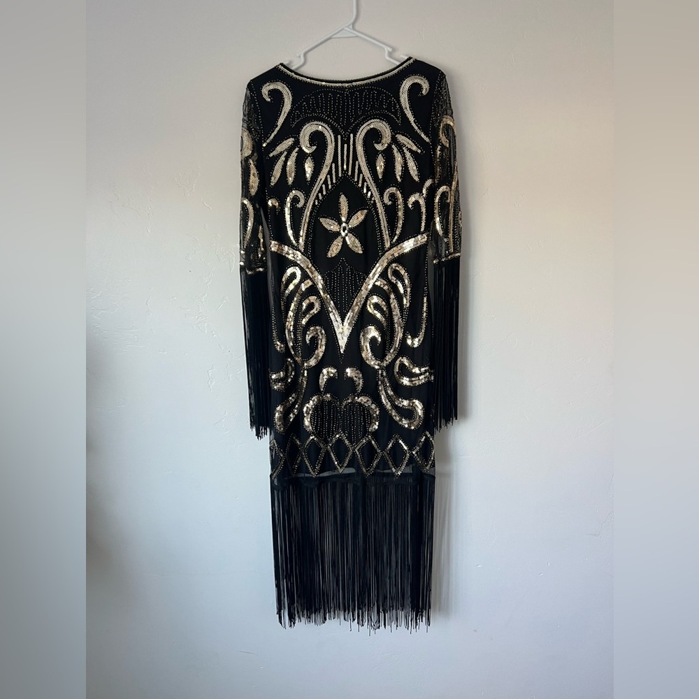 1920s/art deco flapper dress costume